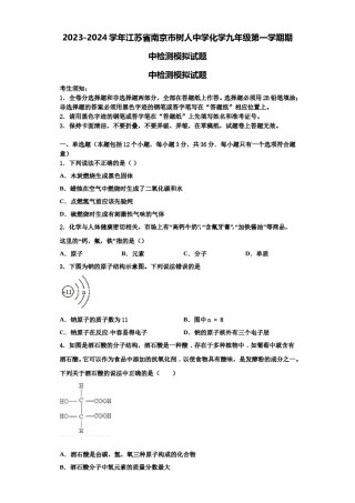 2023-2024学年江苏省南京市树人中学化学九年级第一学期期中检测模拟试题含解析.doc