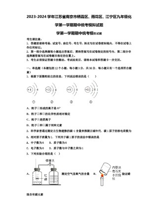 2023-2024学年江苏省南京市栖霞区、雨花区、江宁区九年级化学第一学期期中统考模拟试题含解析.doc