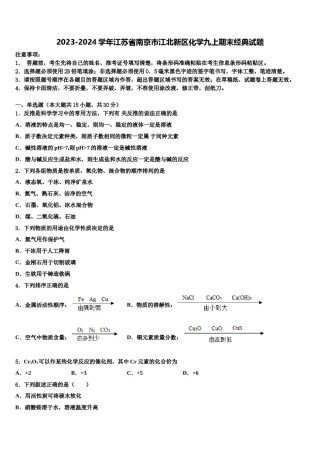 2023-2024学年江苏省南京市江北新区化学九上期末经典试题含解析.doc