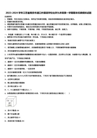 2023-2024学年江苏省南京市浦口外国语学校化学九年级第一学期期末经典模拟试题含解析.doc