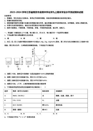 2023-2024学年江苏省南京市金陵中学化学九上期末学业水平测试模拟试题含解析.doc