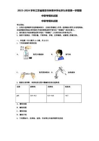 2023-2024学年江苏省南京市钟英中学化学九年级第一学期期中联考模拟试题含解析.doc