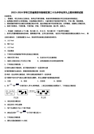 2023-2024学年江苏省南京市鼓楼区第二十九中学化学九上期末调研试题含解析.doc