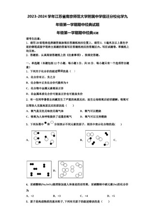 2023-2024学年江苏省南京师范大学附属中学宿迁分校化学九年级第一学期期中经典试题含解析.doc