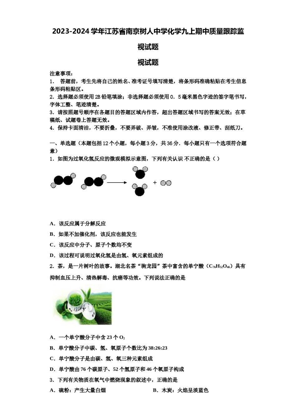 2023-2024学年江苏省南京树人中学化学九上期中质量跟踪监视试题含解析.doc_第1页