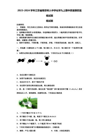 2023-2024学年江苏省南京树人中学化学九上期中质量跟踪监视试题含解析.doc