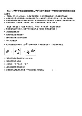 2023-2024学年江苏省南京树人中学化学九年级第一学期期末复习检测模拟试题含解析.doc