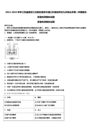 2023-2024学年江苏省南京江北新区南京市浦口外国语学校九年级化学第一学期期末质量检测模拟试题含解析.doc