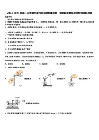 2023-2024学年江苏省南京溧水区化学九年级第一学期期末教学质量检测模拟试题含解析.doc