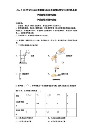 2023-2024学年江苏省南通市启东市滨海实验学校化学九上期中质量检测模拟试题含解析.doc