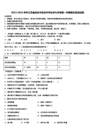 2023-2024学年江苏省启东市东安中学化学九年级第一学期期末监测试题含解析.doc