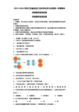 2023-2024学年江苏省启东汇龙中学化学九年级第一学期期中质量跟踪监视试题含解析.doc