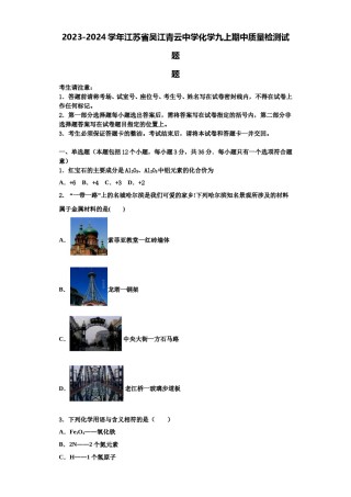 2023-2024学年江苏省吴江青云中学化学九上期中质量检测试题含解析.doc