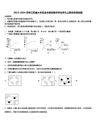 2023-2024学年江苏省大丰区金丰路初级中学化学九上期末检测试题含解析.doc