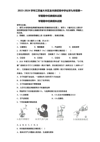 2023-2024学年江苏省大丰区金丰路初级中学化学九年级第一学期期中经典模拟试题含解析.doc