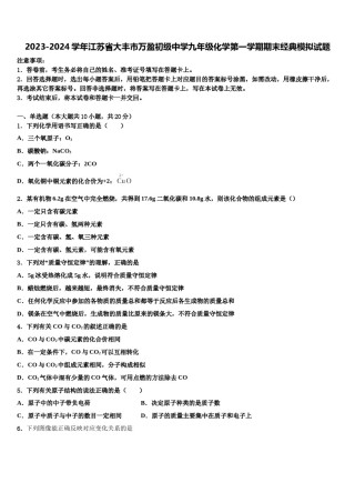 2023-2024学年江苏省大丰市万盈初级中学九年级化学第一学期期末经典模拟试题含解析.doc