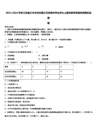 2023-2024学年江苏省大丰市刘庄镇三圩初级中学化学九上期末教学质量检测模拟试题含解析.doc
