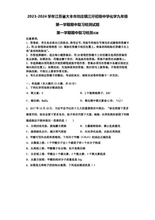 2023-2024学年江苏省大丰市刘庄镇三圩初级中学化学九年级第一学期期中复习检测试题含解析.doc