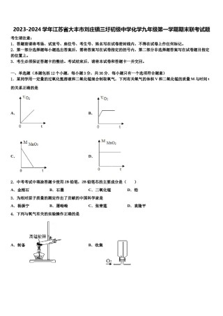 2023-2024学年江苏省大丰市刘庄镇三圩初级中学化学九年级第一学期期末联考试题含解析.doc
