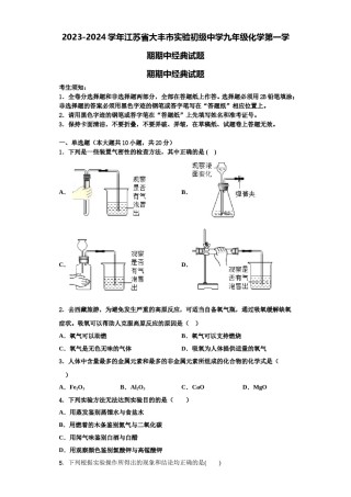 2023-2024学年江苏省大丰市实验初级中学九年级化学第一学期期中经典试题含解析.doc