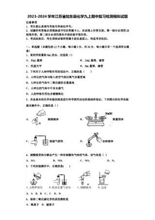 2023-2024学年江苏省如东县化学九上期中复习检测模拟试题含解析.doc