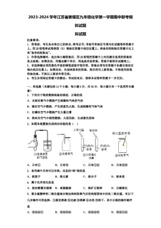 2023-2024学年江苏省姜堰区九年级化学第一学期期中联考模拟试题含解析.doc