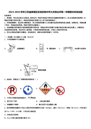 2023-2024学年江苏省姜堰区张甸初级中学九年级化学第一学期期末检测试题含解析.doc