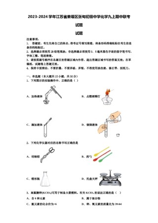 2023-2024学年江苏省姜堰区张甸初级中学化学九上期中联考试题含解析.doc