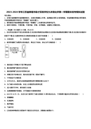 2023-2024学年江苏省姜堰市励才实验学校九年级化学第一学期期末统考模拟试题含解析.doc