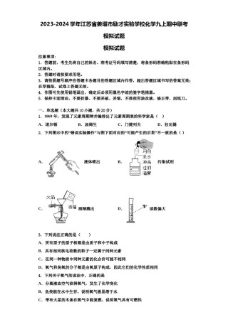 2023-2024学年江苏省姜堰市励才实验学校化学九上期中联考模拟试题含解析.doc
