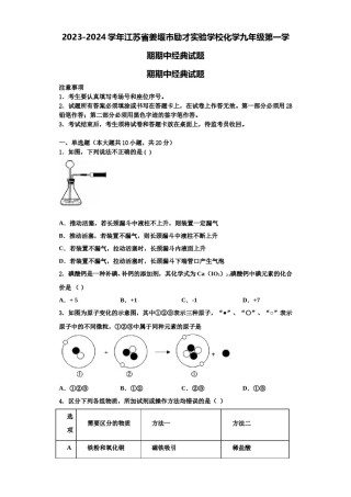 2023-2024学年江苏省姜堰市励才实验学校化学九年级第一学期期中经典试题含解析.doc