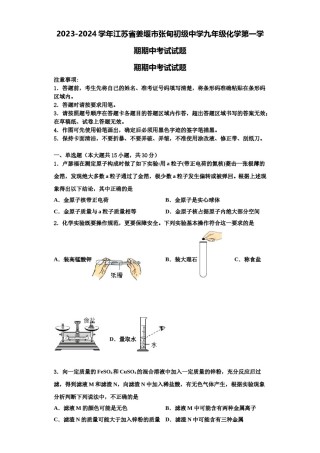 2023-2024学年江苏省姜堰市张甸初级中学九年级化学第一学期期中考试试题含解析.doc