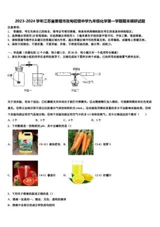 2023-2024学年江苏省姜堰市张甸初级中学九年级化学第一学期期末调研试题含解析.doc