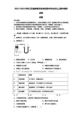 2023-2024学年江苏省姜堰市张甸初级中学化学九上期中调研试题含解析.doc