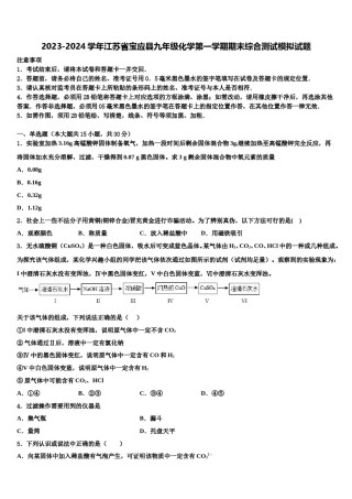 2023-2024学年江苏省宝应县九年级化学第一学期期末综合测试模拟试题含解析.doc
