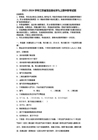 2023-2024学年江苏省宝应县化学九上期中联考试题含解析.doc