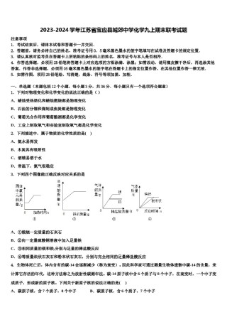 2023-2024学年江苏省宝应县城郊中学化学九上期末联考试题含解析.doc
