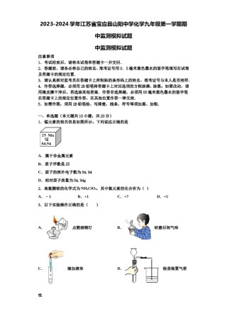 2023-2024学年江苏省宝应县山阳中学化学九年级第一学期期中监测模拟试题含解析.doc