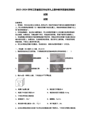 2023-2024学年江苏省宿迁市化学九上期中教学质量检测模拟试题含解析.doc