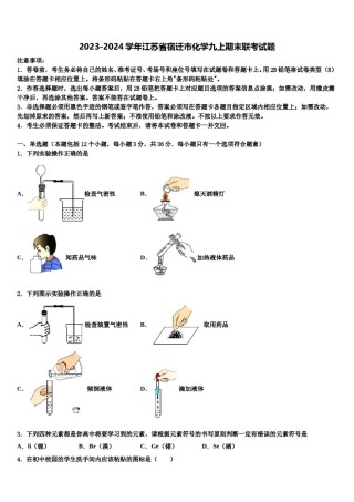 2023-2024学年江苏省宿迁市化学九上期末联考试题含解析.doc