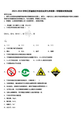 2023-2024学年江苏省宿迁市名校化学九年级第一学期期末预测试题含解析.doc