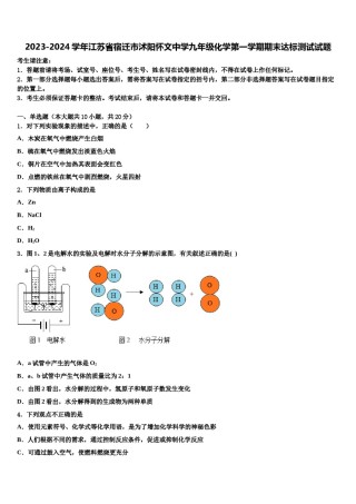 2023-2024学年江苏省宿迁市沭阳怀文中学九年级化学第一学期期末达标测试试题含解析.doc