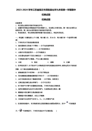 2023-2024学年江苏省宿迁市泗阳县化学九年级第一学期期中经典试题含解析.doc