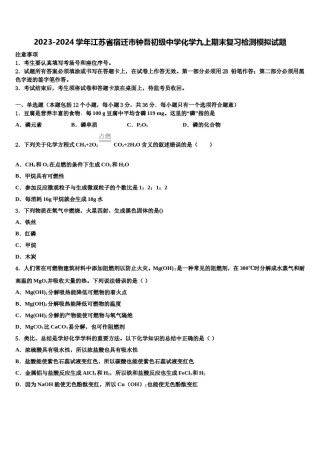 2023-2024学年江苏省宿迁市钟吾初级中学化学九上期末复习检测模拟试题含解析.doc