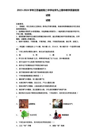 2023-2024学年江苏省射阳二中学化学九上期中教学质量检测试题含解析.doc