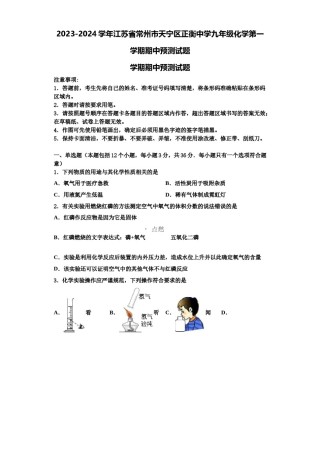 2023-2024学年江苏省常州市天宁区正衡中学九年级化学第一学期期中预测试题含解析.doc