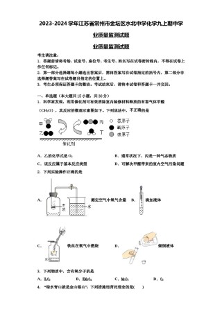 2023-2024学年江苏省常州市金坛区水北中学化学九上期中学业质量监测试题含解析.doc