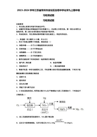 2023-2024学年江苏省常州市金坛区白塔中学化学九上期中复习检测试题含解析.doc