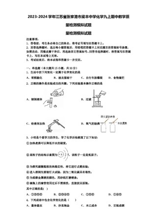 2023-2024学年江苏省张家港市梁丰中学化学九上期中教学质量检测模拟试题含解析.doc