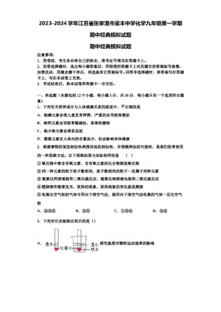 2023-2024学年江苏省张家港市梁丰中学化学九年级第一学期期中经典模拟试题含解析.doc
